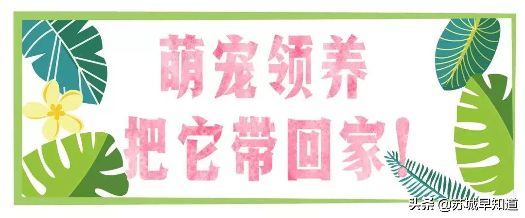 苏州平江路万达广场,苏州万达广场平江店