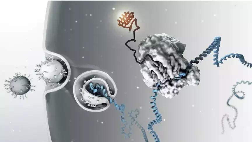 science十大科学突破,science2017全球十大科学突破