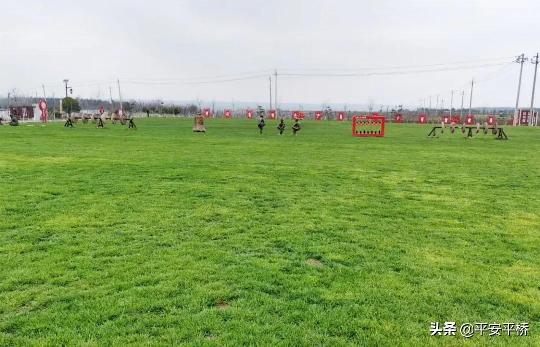 平桥区明港镇：防疫不松劲春耕备播忙