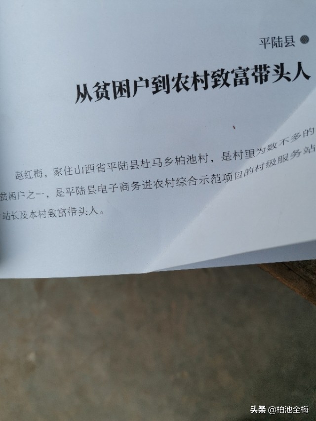 找到了情趣找到了生活