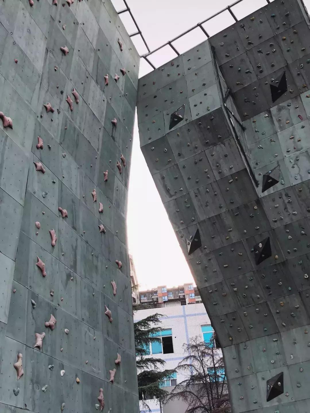 成体，一所靠“抓小偷”牢牢锁死热搜的学校