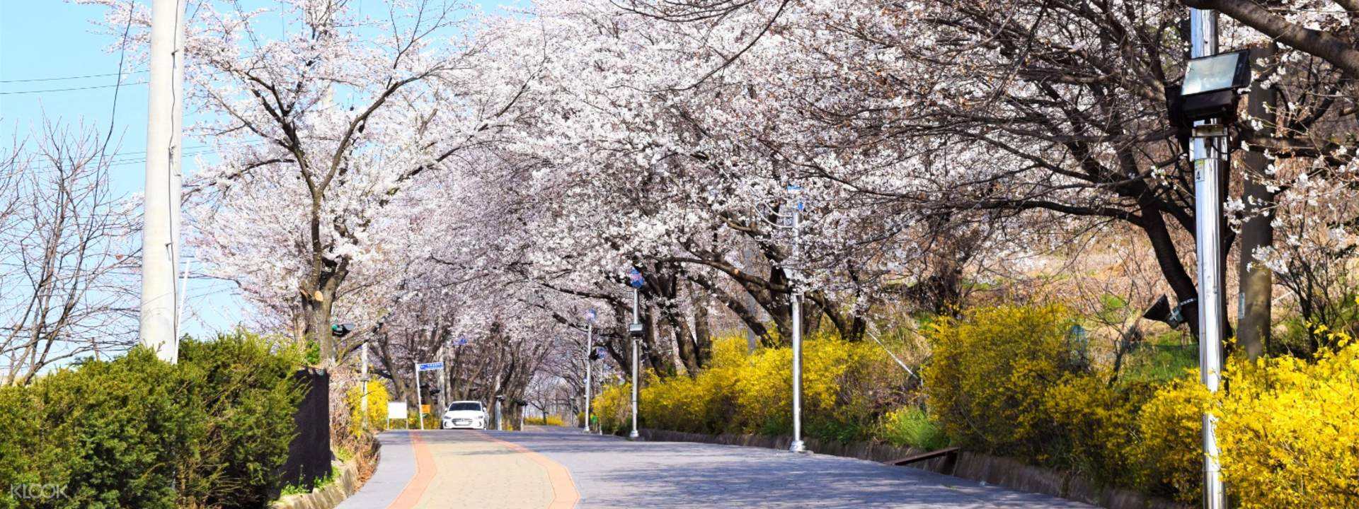 韩国的仁川,韩国的仁川是哪座城市