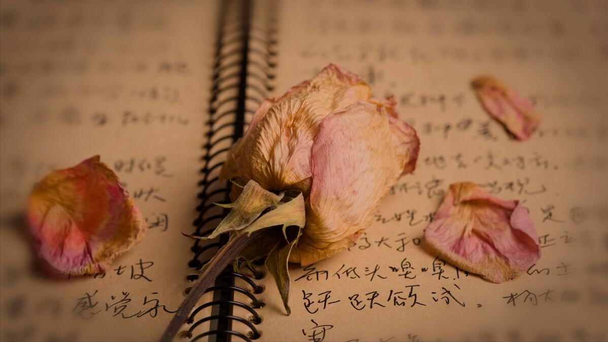 心理学家：女性“性心理”发展规律|“第一次”终生难忘