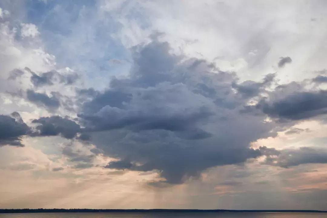 林清玄散文精选800字,林清玄精选散文好段200字