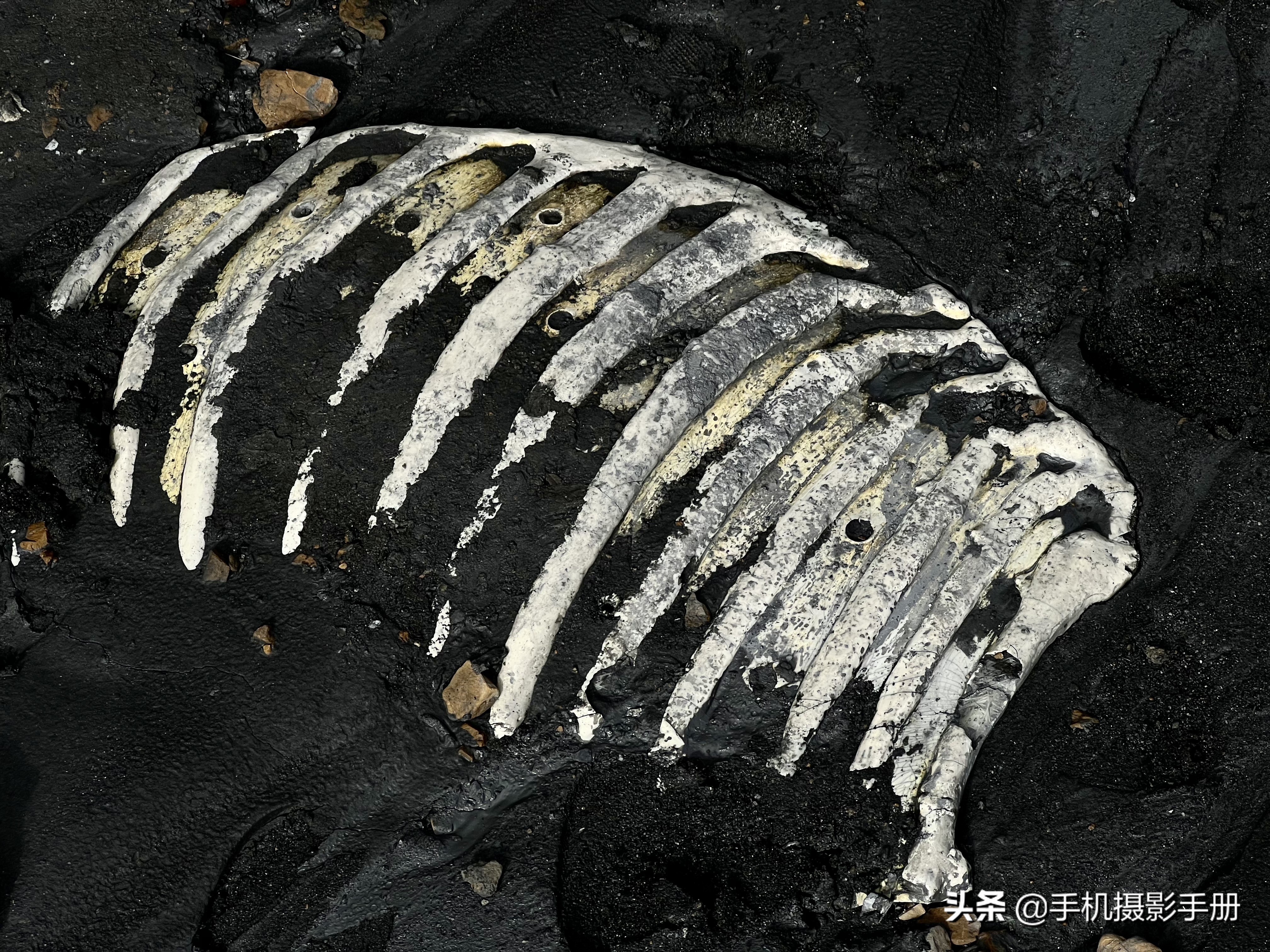 一个遍地白骨的地质公园，你敢来么？这里简直太“黑”了