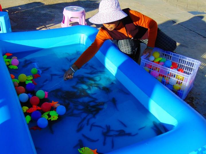 建水蒙自河口游,蒙自市尼苏小镇旅游攻略