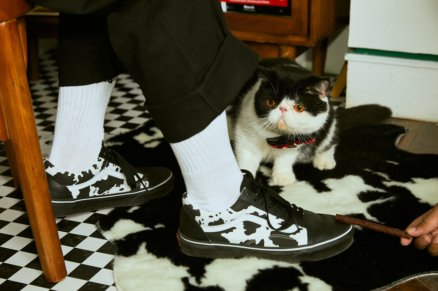 平平无奇cadence小天才,平平无奇机车小天才