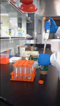 哪些奶茶被检测出问题,一份真实的奶茶检测报告