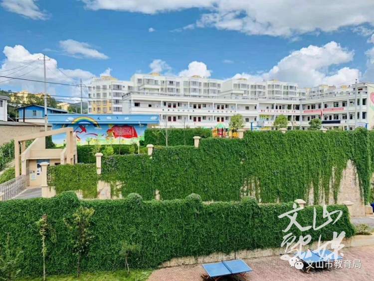 文山市面向全国招聘教师，370个岗位在城区！速扩散