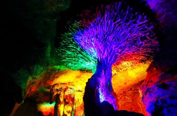 龙岩市旅游景区布局图,龙岩市旅游景区管理系统