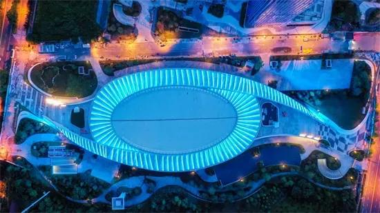 科普有我｜国际轮滑项目分类