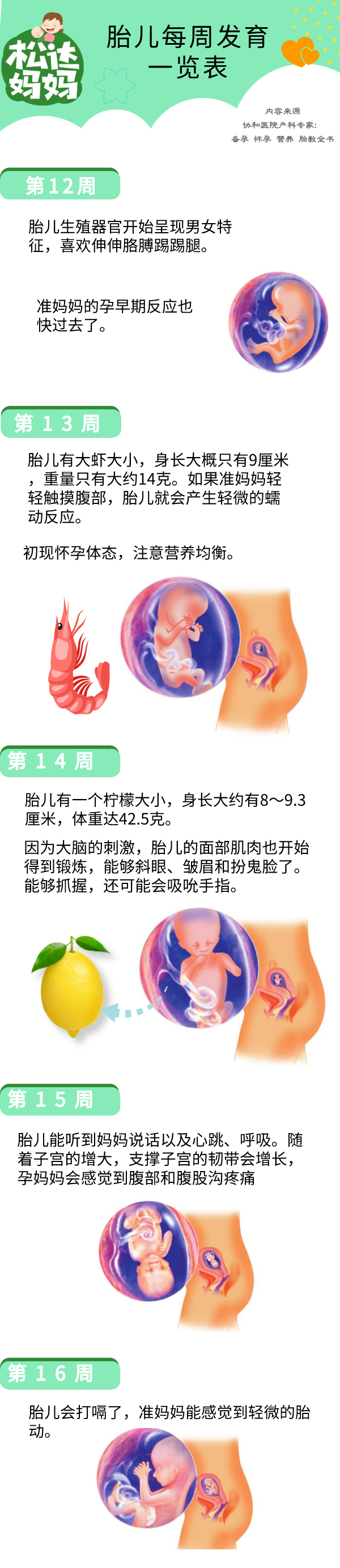 怀孕40周胎儿发育一览表，周周都有新变化！太神奇了