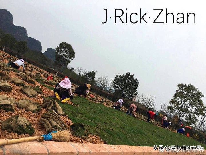 怎样种植草坪技术,果岭草坪的种植养护方法及技巧