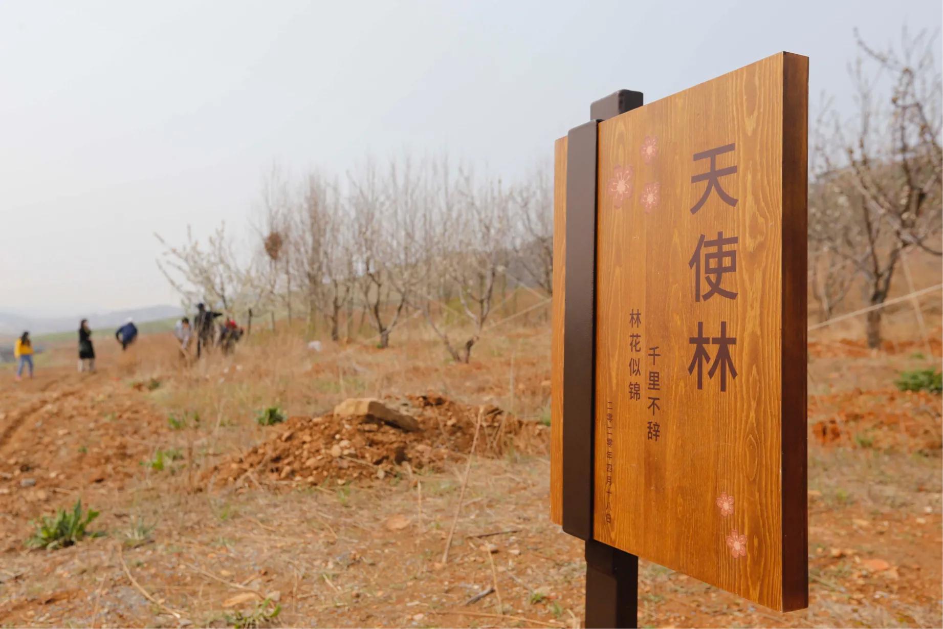三寰牧场启动春耕节，别样活动促进后疫情时期文旅经济复苏
