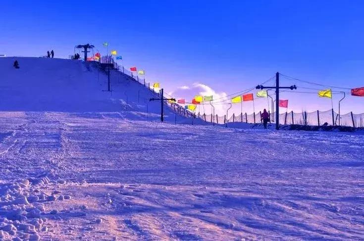 2020宁夏一日游旅游景点推荐,银川一日游最佳地方宁夏海洋公园