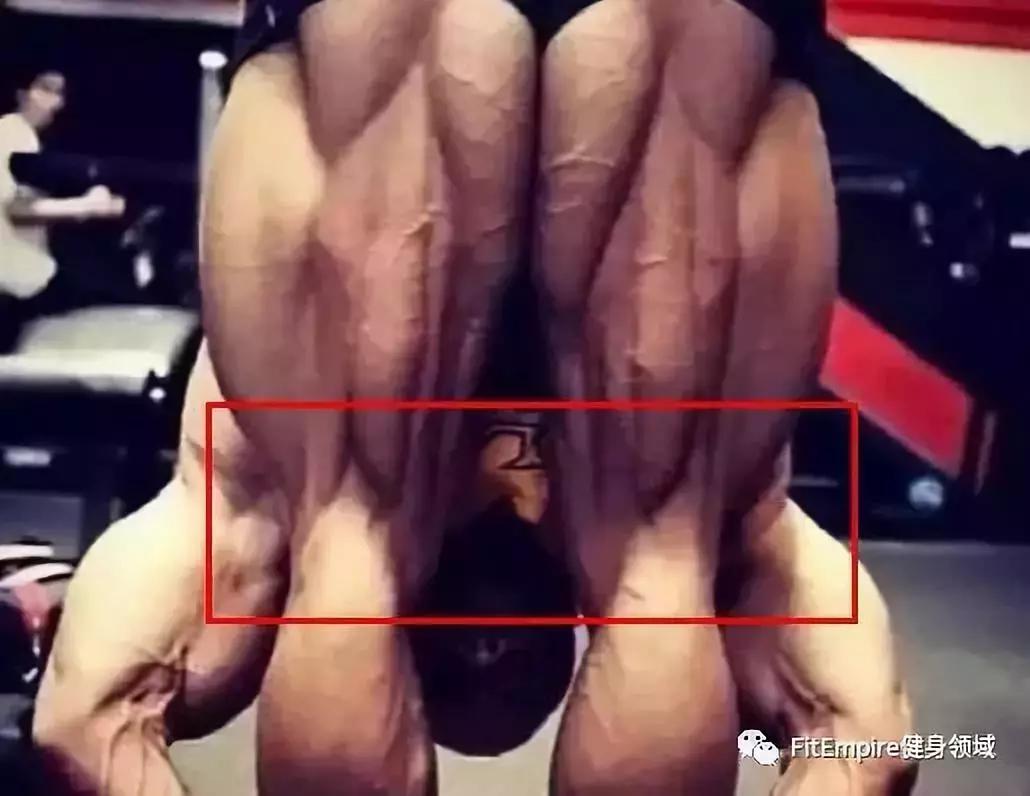 如何提高深蹲伸髋力量,深蹲和硬拉锻炼的肌肉部位图