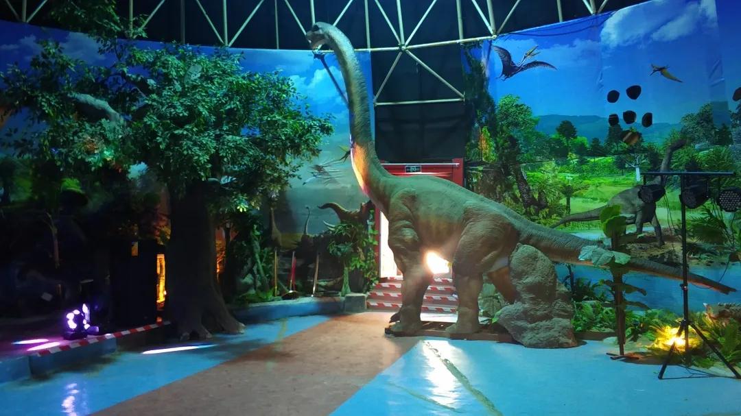 小长假都去哪里旅游好玩,济南金象山乐园