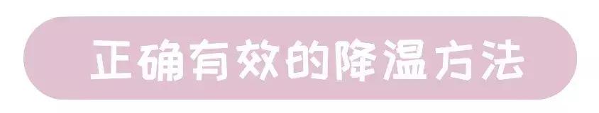 夏季猫咪待在阳台怎么降温,猫咪物理降温正确方法