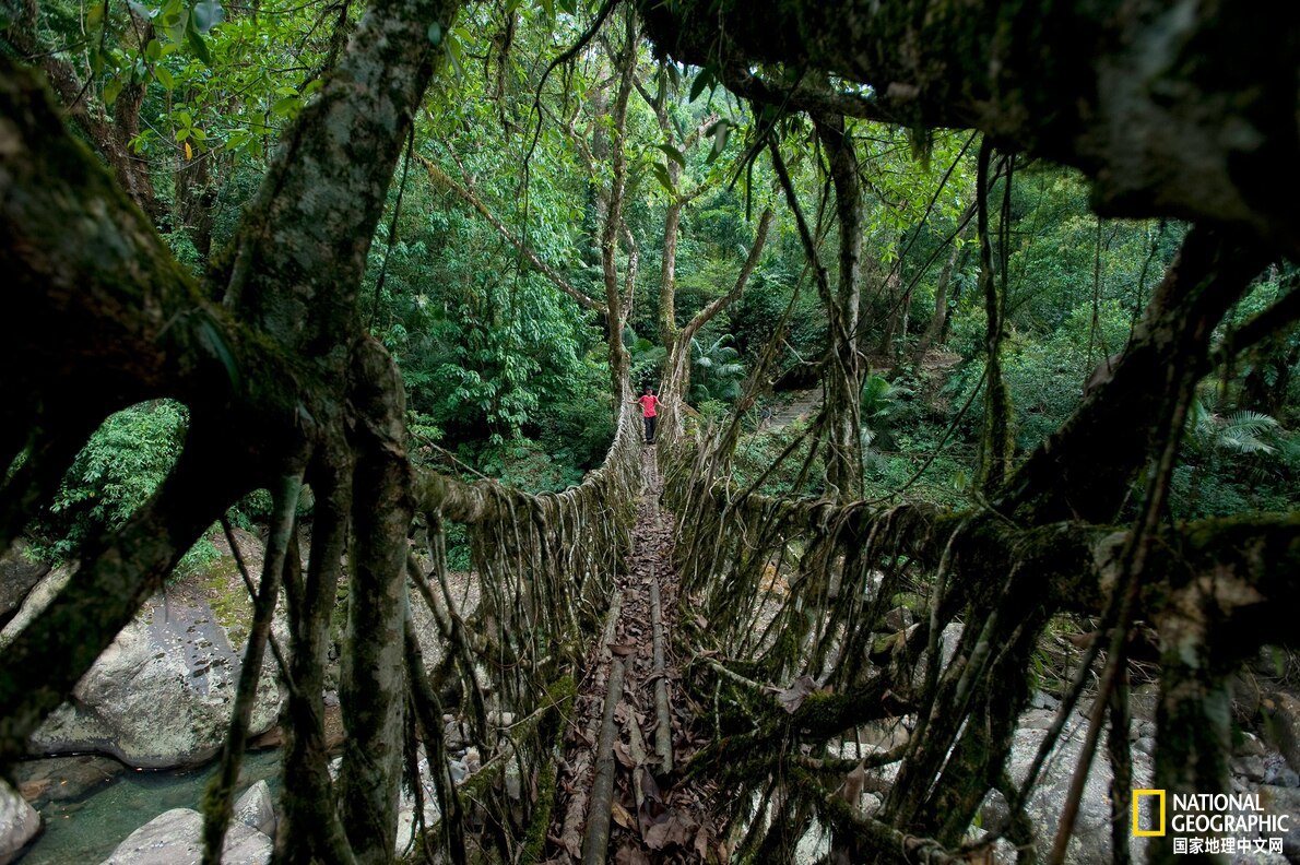 十二个桥梁,中国第一桥梁工程世界奇迹