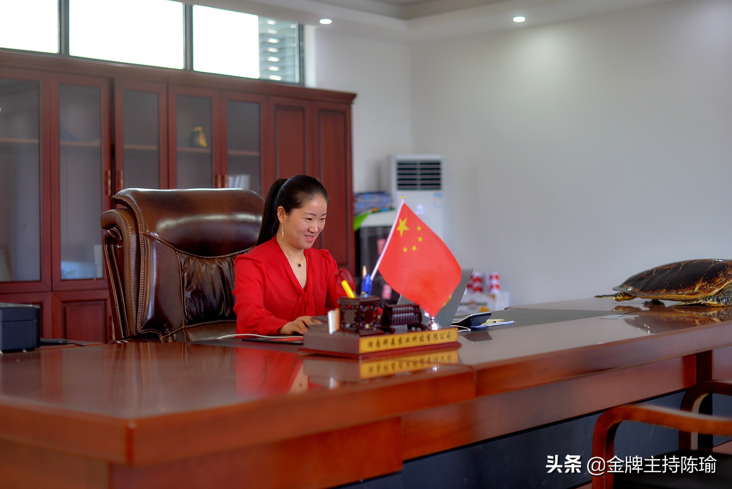 湖南科森农业有限公司,湖南科森农业股份有限公司