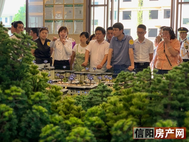 淇¢槼妤煎競鐏垎鍦洪潰,淇¢槼妤煎競鐏垎鐜板満