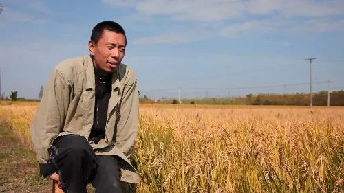 戛纳史上评分高的电影,又一部国产好电影