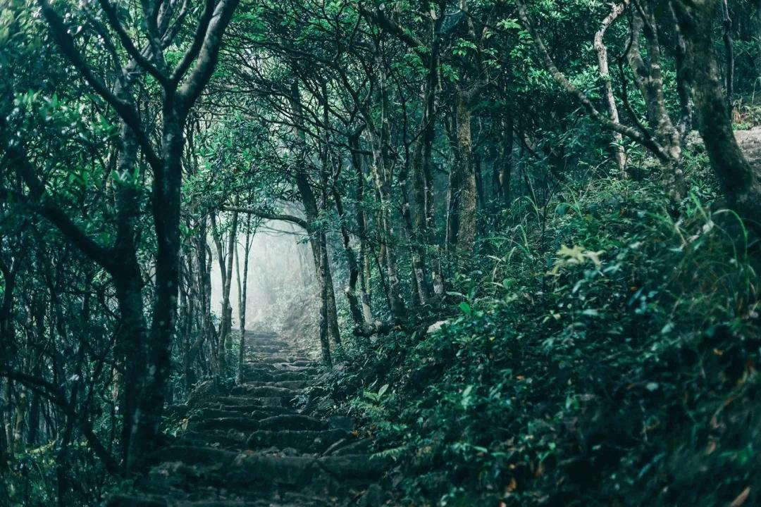 深圳值得去的地标,深圳值得去的景点排行榜