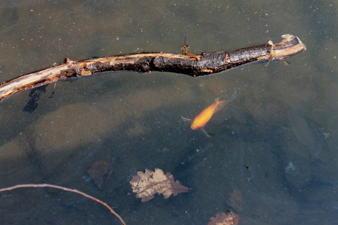 每日一读小知识大全,每日一读知识大全