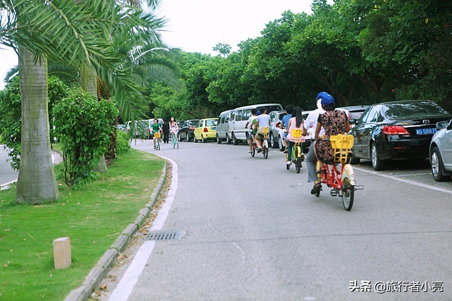 福建厦门十大旅游景点,福建厦门旅游十大必去景区