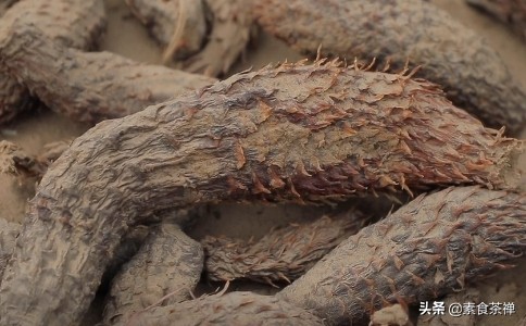 沙漠人参肉苁蓉哪里的最好,肉苁蓉生长环境与沙漠优势