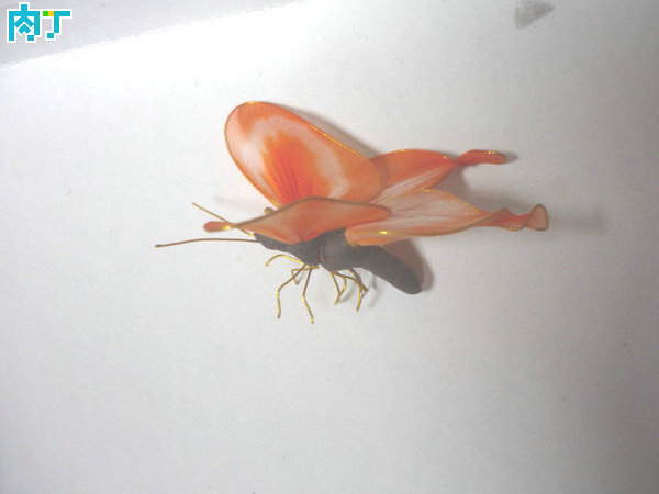 丝网花蝴蝶的制作教程,丝网蝴蝶花的做法教程