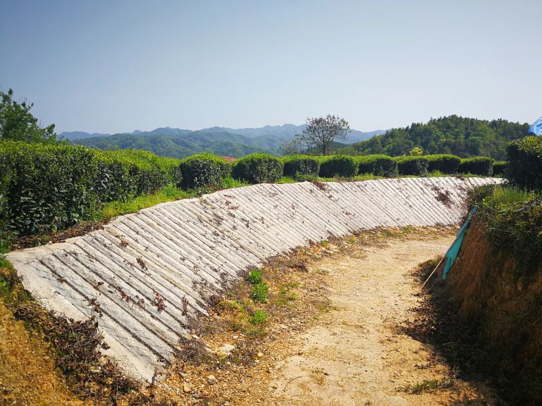 来吧挑战赛完整版,来吧冠军场地自行车