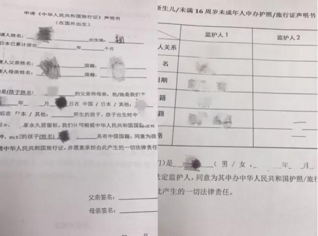 2022美宝换发旅行证,2021美宝换旅行证