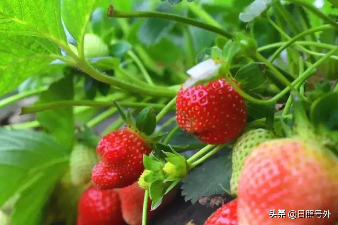 好嗨哟2019年元宵晚会,好嗨哟元宵晚会