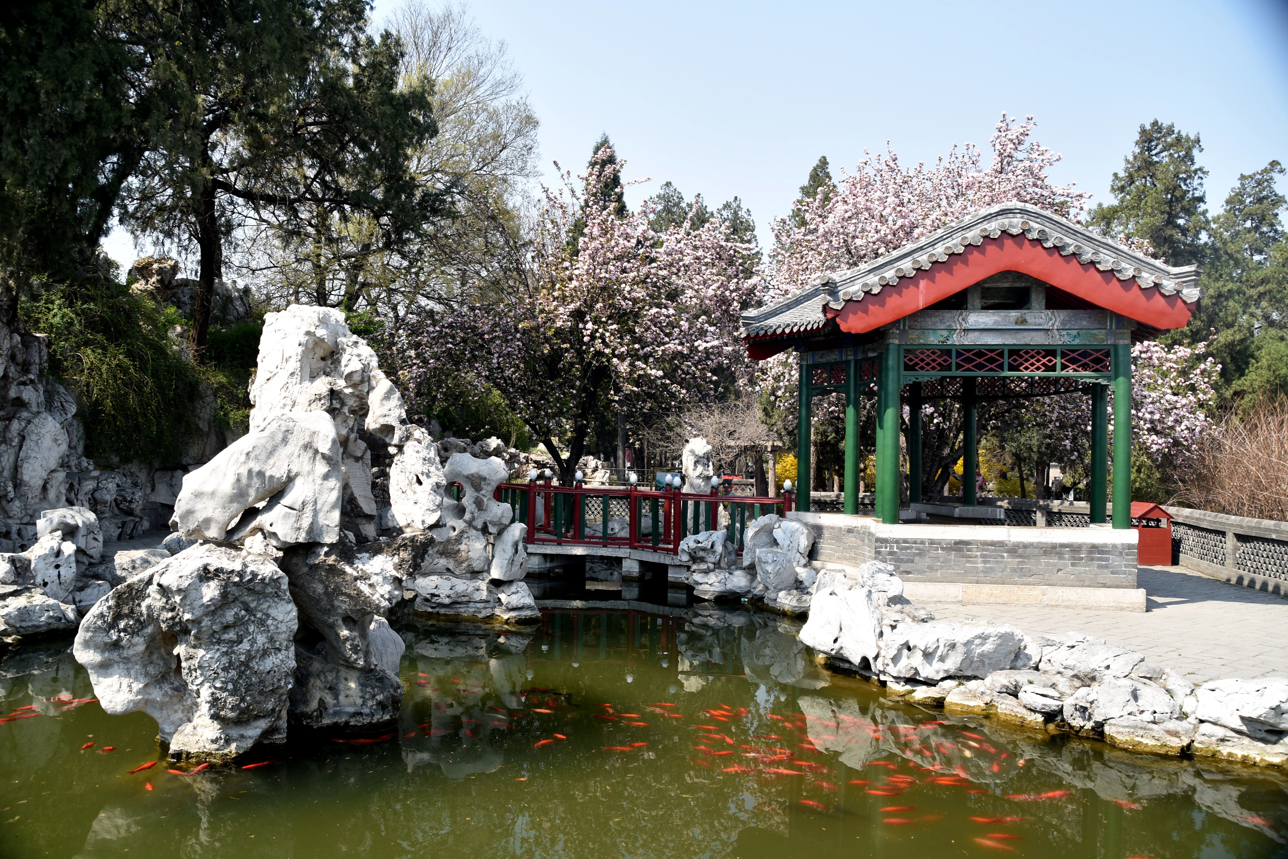 孔府里有一幅《戒贪图》,大义凛然,用心良苦,大家知道吗?