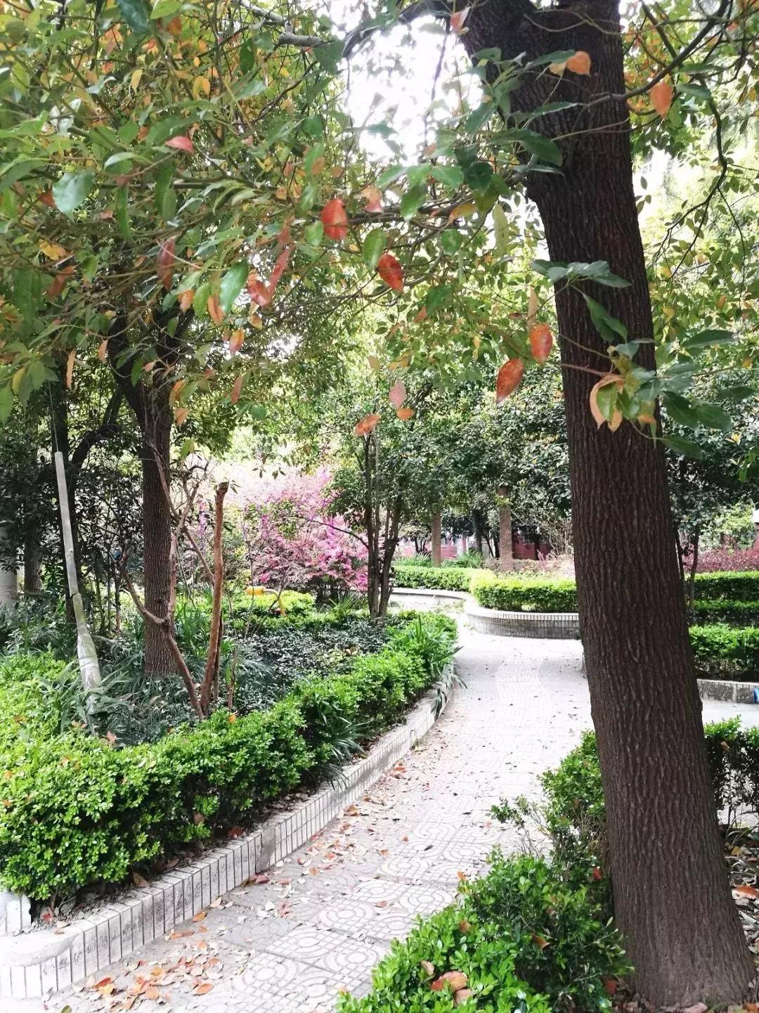 打造私人会所庭院,300平方园林式露天会所