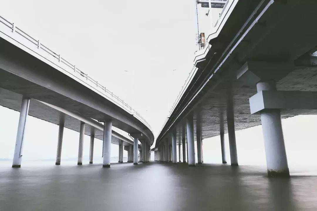 深圳湾公园这里有什么好吃的,深圳湾在哪里