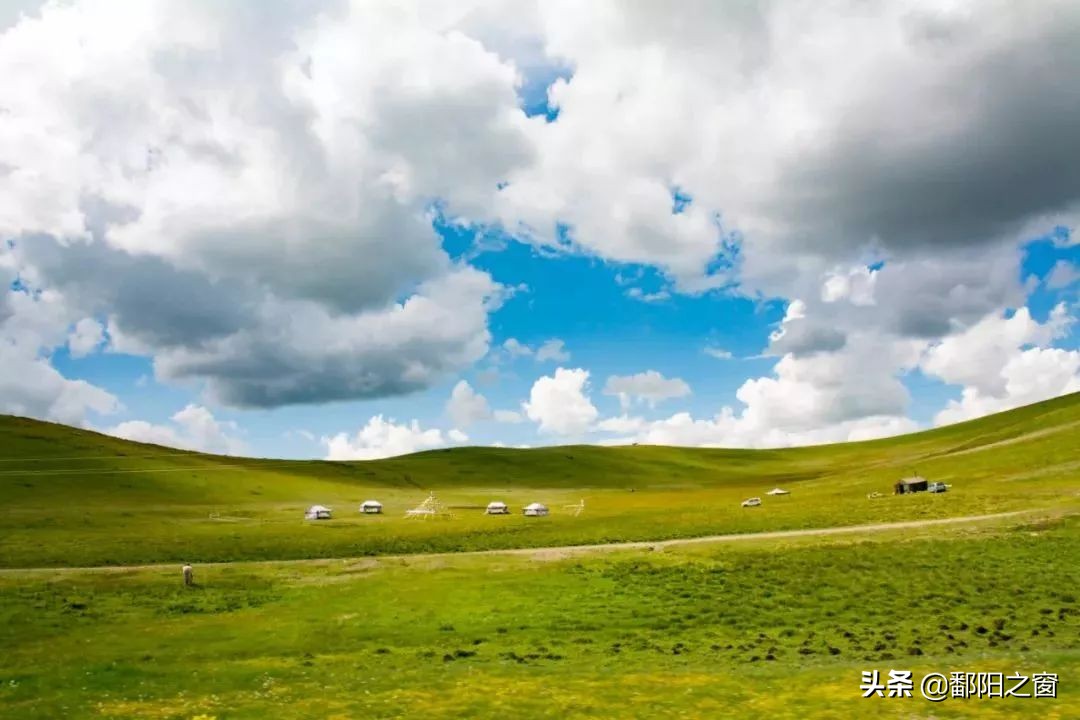 四川若尔盖，中国最美的高寒湿地草原，川西北高原上的绿洲