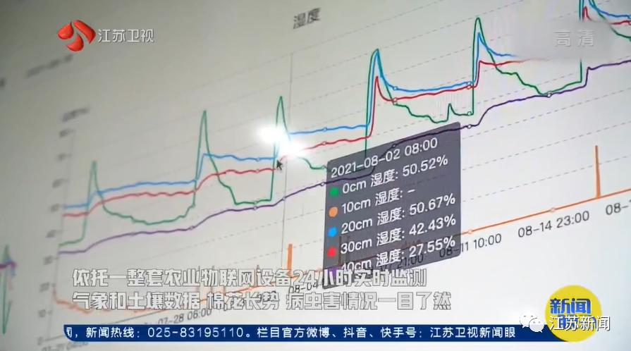 3亩地2个人种玉米需要多久,棉田种植方式