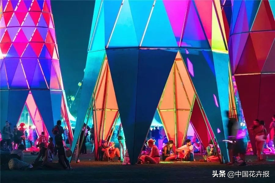 从小就觉得面包树上结的是“面包”？你只差一个亲眼看看的机会