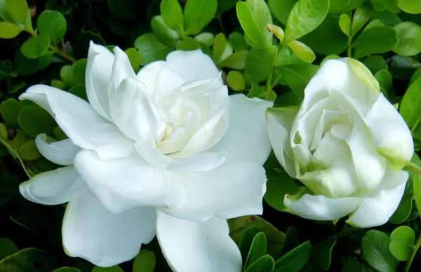 中考满分作文最美的瞬间,中考满分作文那一刻