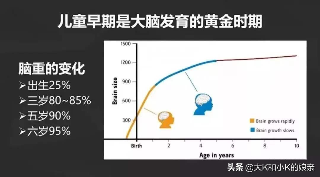 数学思维启蒙逻辑狗,数学启蒙逻辑狗