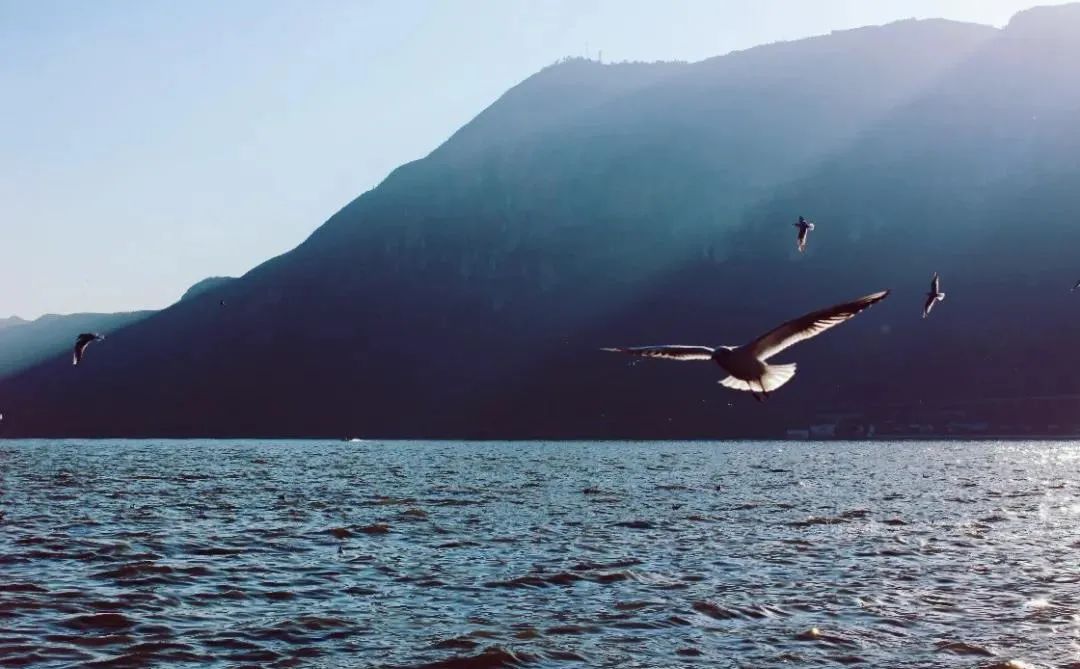 最近昆明有没有最值得去玩景点,推荐昆明最适合去玩的地方