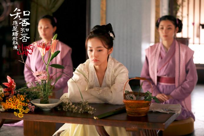 大热ip电视剧,大热ip剧古装网剧