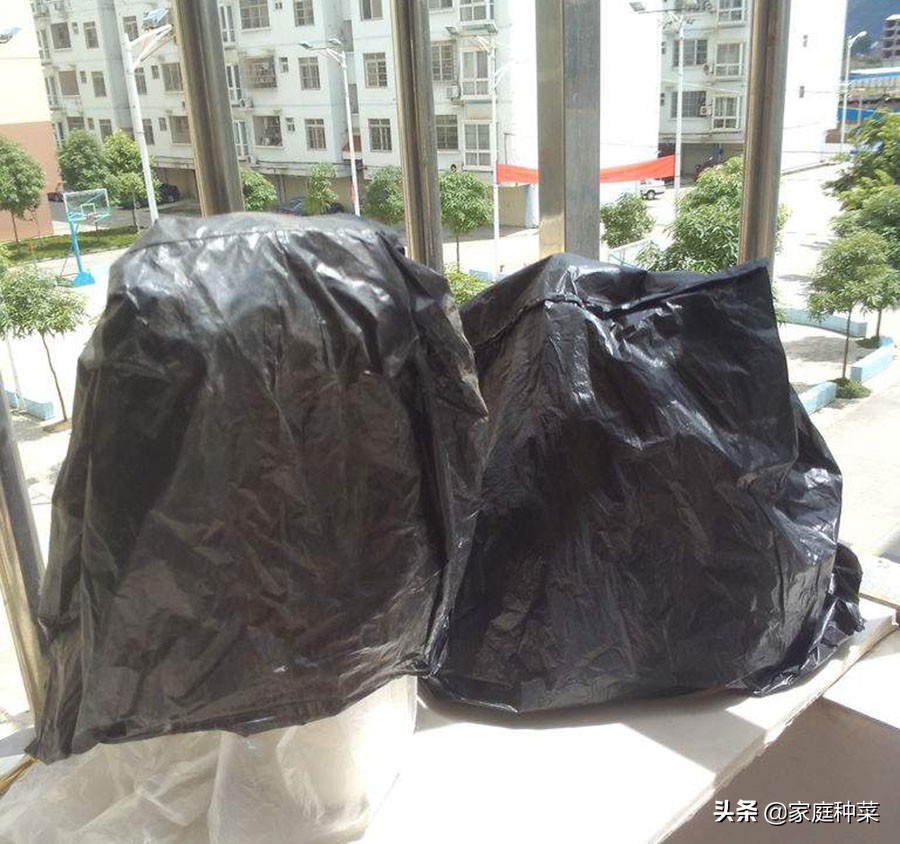 堆肥有虫怎么处理,堆肥长虫了还能用吗