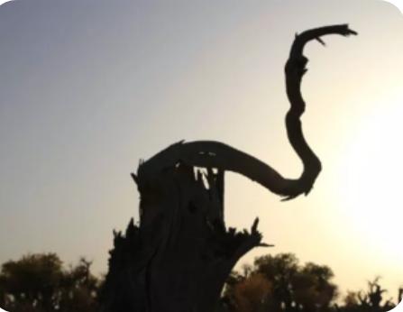 看看*疆新**哈密伊吾值不值得你去？,1