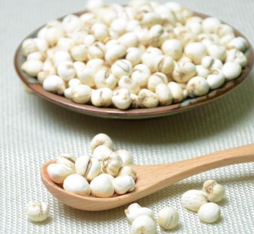 川贝母的食疗养生大全,川贝母是食疗还是药疗