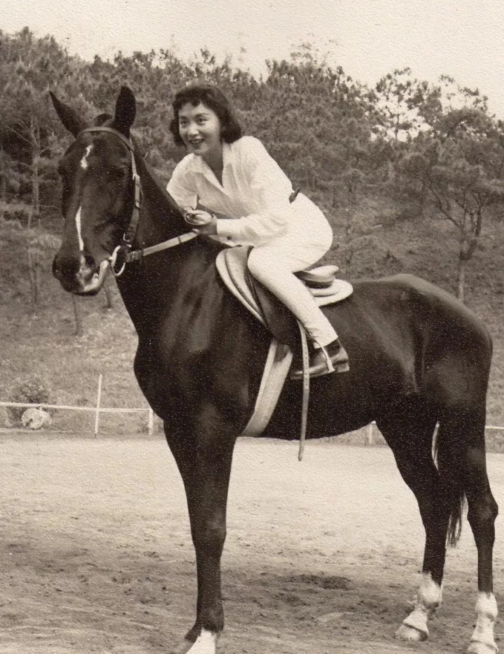 绝代佳人夏梦小说,绝代佳人夏梦简介