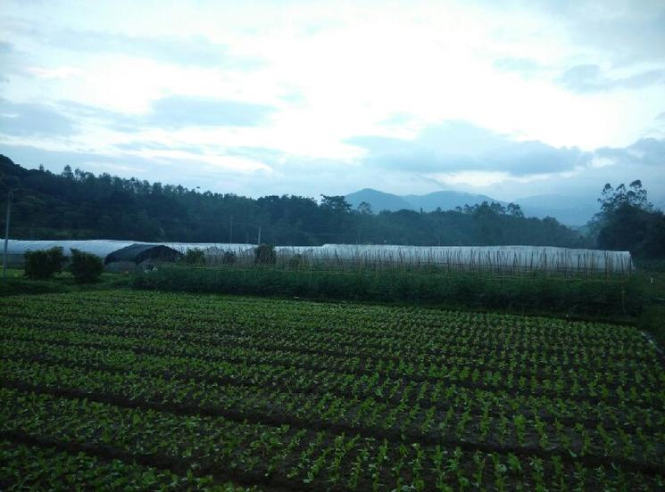 1000亩地怎样打造一个生态农场,300亩农场建设视频