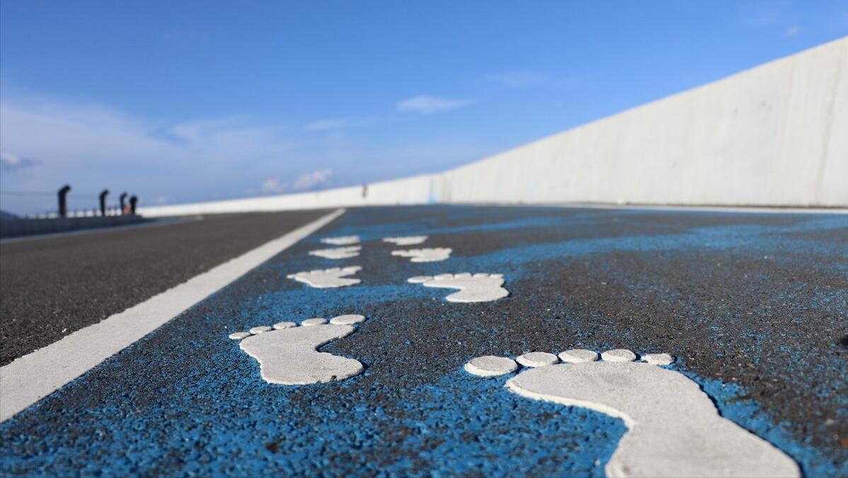 职业生涯规划书的引言怎么写,大学生职业生涯规划职业认知